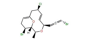 Obtusallene I